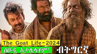 🔴ንዝሓሸ ሂወት ንዓቢ ትካል ተቖጺሮም ክሰርሑ ናብ ስዑዲ ምስኣተዉ ንባዕሎም ጓሶት ኮይኖም ይረኽብዎ ዘ [upl. by Eceinahs]