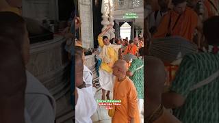 Iskcon Vrindavan darshan kirtan gurupuja iskcon vrindavan darshan kirtan shorts viral krishna [upl. by Oilla770]