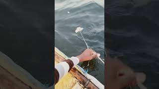 fishing fiish beachfishing fish filefish carpfishing fihing carp fiahing videogama [upl. by Novets]