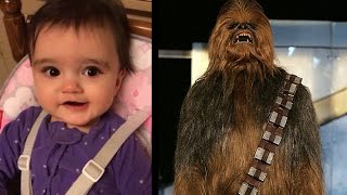 Baby Chewbacca Sounds And Noises [upl. by Coralyn]