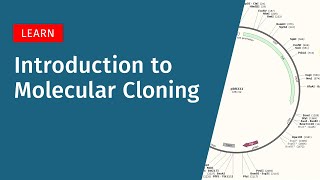 Introduction to Molecular Cloning [upl. by Marwin]