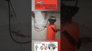 Treatment  termite  pest control service  overall kerala call now more detail termite shorts [upl. by Risay160]