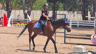 Chloes 3rd Show 2nd Place 70cm 8 Jump Accumulator [upl. by Micky204]