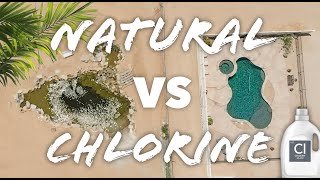 Natural Pools BEFORE AND AFTER Biological Filtration Swim Ponds VS Chlorine Pools [upl. by Navonod]