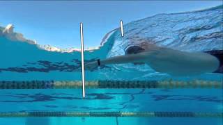 Coach Stuart McDougal  Total Immersion Swimming [upl. by Renard98]