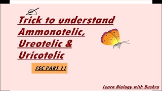 A Trick to Understand AmmonotelicUreotelicUricotelic AnimalsEXCRETION TYPES in Detail [upl. by Griffiths]