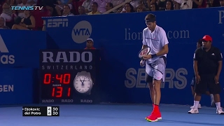 HUGE Del Potro forehand past Djokovic in Acapulco [upl. by Meehar932]