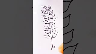 How do you draw pinnately compound leaf [upl. by Ahsitan]