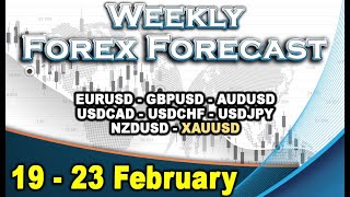 🟢Weekly Forex Forecast 19  23 February [upl. by Emirak]