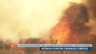 Para enfrentar queimadas especialistas cobram recursos para órgãos ligados ao meio ambiente [upl. by Lawler]