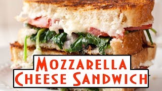 Mozzarella Cheese Sandwich  Veg Cheese  Corn  Toast  Recipe  Food O Food TV [upl. by Romalda424]