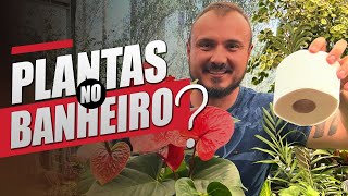 PLANTAS para BANHEIRO  Aprenda como ESCOLHER e cuidar [upl. by Stefanac]