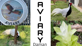 A V I A R Y Daman  Vlog [upl. by Tania612]