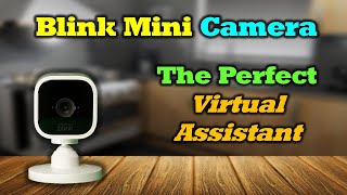 Blink Mini Camera  The Perfect Virtual Assistant [upl. by Erdrich]