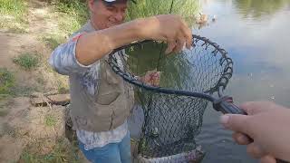 Happy Fisherman EP54 Trout in Goulburn River [upl. by Htebizile]