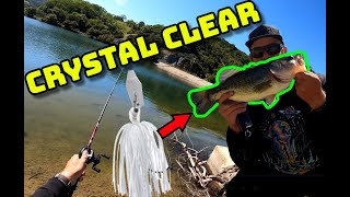 Fishing ALMADEN Reservoir FIRST Time San Jose Bass Fishing [upl. by Notyal]