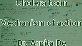 Cholera toxin [upl. by Arihsaj575]