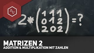 Matrizen addieren und mit Zahlen multiplizieren  Matrizen 2 [upl. by Hayotal323]