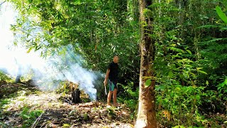 Suku Dayak  Orang Dayak Berburu di Hutan Kalimantan [upl. by Nylaehs845]