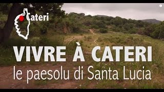 Projet de construction de 14 villas à Cateri en Corse [upl. by Kimmi]