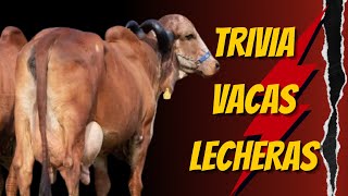 Vacas Lecheras Preguntas y Respuestas ¿Cuánto Sabes [upl. by Eilraep59]