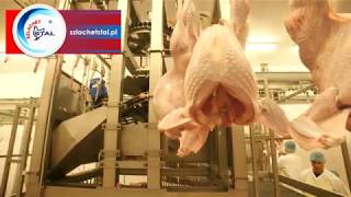 PREZENTACJA NASZEJ LINII UBOJU W ZAKŁADZIE PRZETWÓRSTWA DROBIU BIAŁORUŚ POULTRY PROCESSING PLANT [upl. by Aicital]