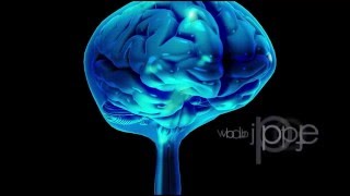 Neuroanatomy The Cerebrospinal Fluid CSF [upl. by Thierry438]