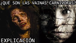 ¿Qué son las Vainas Carnivoras EXPLICACIÓN  Las Vainas Depredadoras de Las Ruinas EXPLICADAS [upl. by Llenahs]