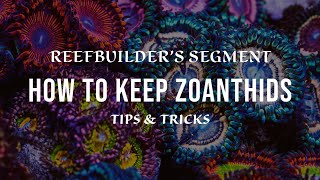 Zoanthids  How to Keep and Growing using Tips and Tricks Reefbuilders Video Segment [upl. by Yrailih]