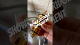 Easy mixer shower repair plumbing howto plumber [upl. by Norabal]