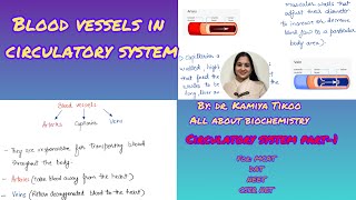 Circulatory system Part1Blood vessels [upl. by Whitman197]