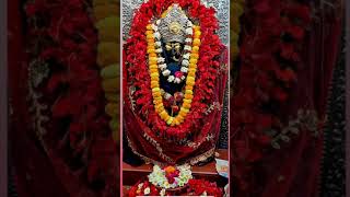 maa brahmani devi ballia bhakti love song trending maihar bhaktibhajan shortsvideo 🙏🙏🚩🚩🌿🙏🙏 [upl. by Japeth92]