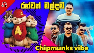 රන්වන් මල්දම් CHIPMUNKS VIBE [upl. by Suoivatra822]