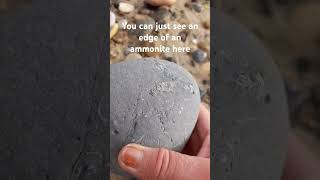 fossilhunting on the beach sea ammonites and belemnites [upl. by Aramoix]