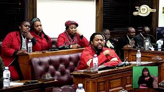 EFF vs FF  Ndlozi  Molder  Mini Planery  Parliament [upl. by Sladen]