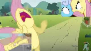 New Fluttershy Has A SPARTA EXTENDED REMIX [upl. by Ecilahc236]