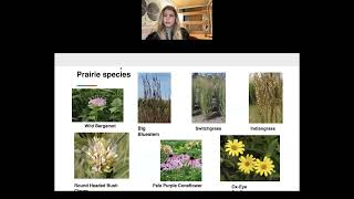 Investigating Biomethane Potential of Prairie Plant Species [upl. by Tyrus]