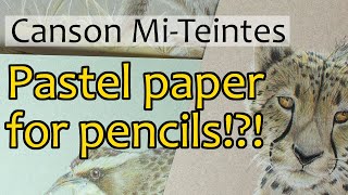 CANSON MITEINTES PAPER  What is it Using pastel paper for coloured pencils product review [upl. by Boorer]