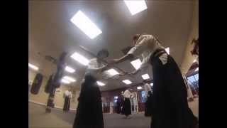 Fishhawk Martial Arts Academy Aikijujutsu Training June 2014 [upl. by Idihc146]