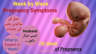 7 week of Pregnancy  Pregnancy week by week  What to Expect in 7th week raniababer [upl. by Lisetta115]