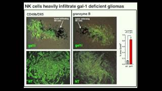 ImmunoHematology Symposium 2014 Best Abstract [upl. by Eiclud15]