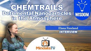 Detrimental Nanoparticles in the Atmosphere Chemtrails  Interview with Elana Freeland [upl. by Sutherland]