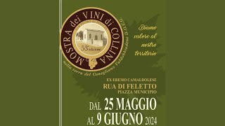 INAUGURAZIONE DELLA 53 MOSTRA DEI VINI DI COLLINA [upl. by Noied723]