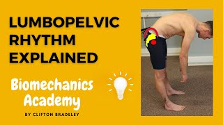 Lumbopelvic Rhythm Explained  FINALLY [upl. by Evelina431]