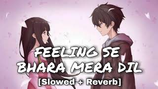 Feeling Se Bhara Mera Dil Slowed and Reverb  Sumit Goswami [upl. by Odradlig427]