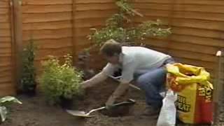 Gardeners World  First Time Planting  Planting Borders 1989 [upl. by Aselehc766]