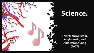 The Pathway Renin Angiotensin amp Aldosterone 2007 [upl. by Ahto]