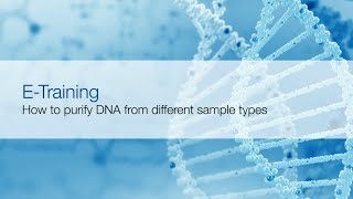 Sample preparation for nucleic acid extraction [upl. by Dawaj71]