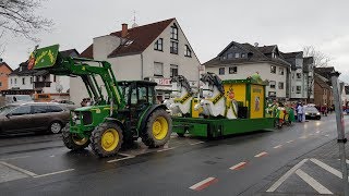 Karneval in Wesseling 2018 Kinderkarnevalszug [upl. by Cired83]