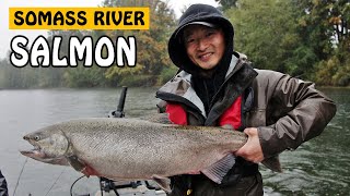 STAMP AND SOMASS RIVER CHINOOK AND COHO SALMON ON VANCOUVER ISLAND BC CANADA  Fishing with Rod [upl. by Parette676]